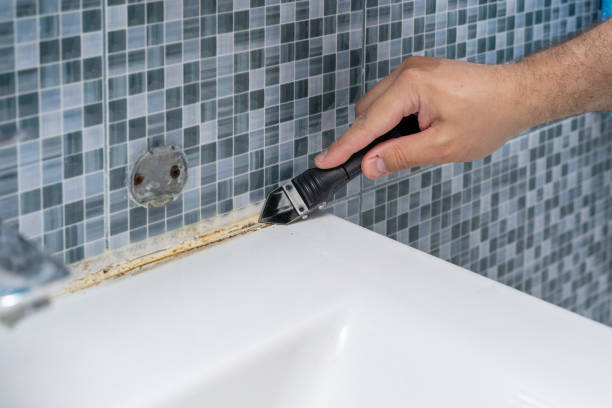 Office Mold Removal Services in Sierra Vista Southeast, AZ